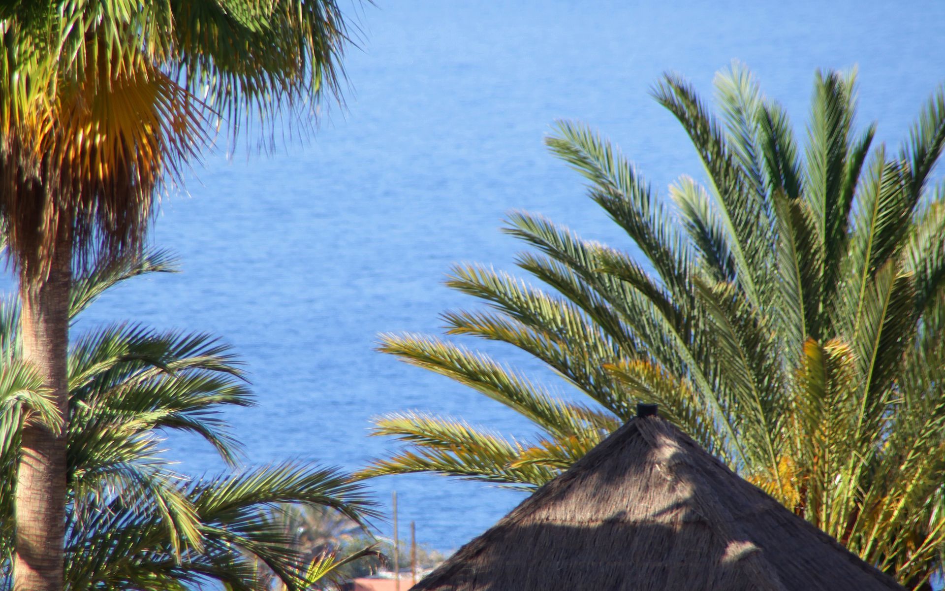Bahia Principe Sunlight Costa Adeje Hotel ภายนอก รูปภาพ